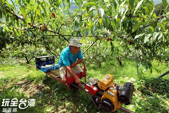 Da Kuan Peach Farm Resort Hualing المظهر الخارجي الصورة